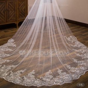 Ivory cathedral veil